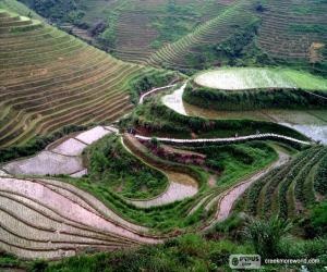 Puzzle Τοπίο της αγροτικής Κίνας